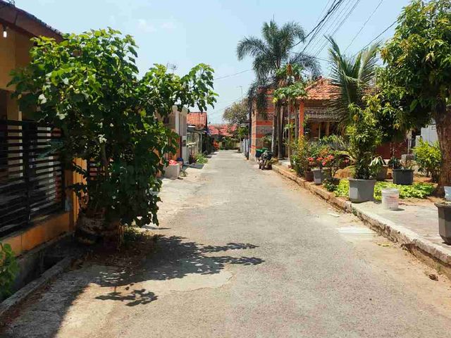 place photo 7