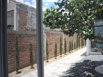 place photo 71