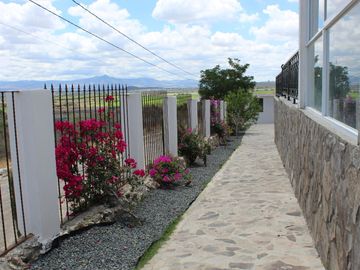 place photo 25