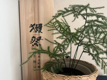 place photo 47