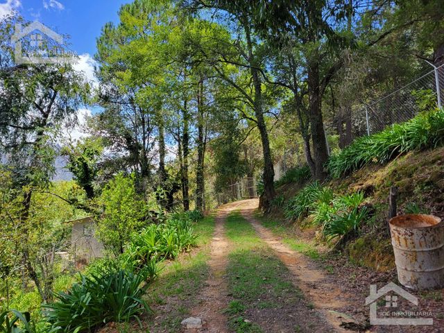 place photo 44