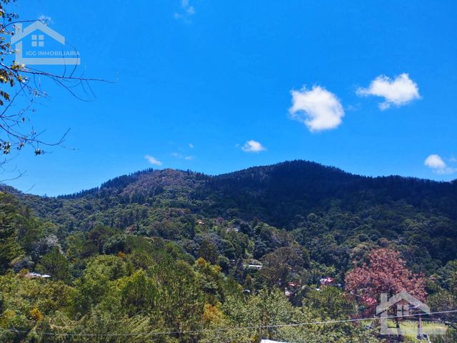 place photo 49