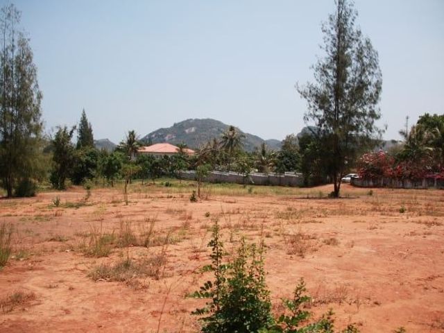 place photo 28
