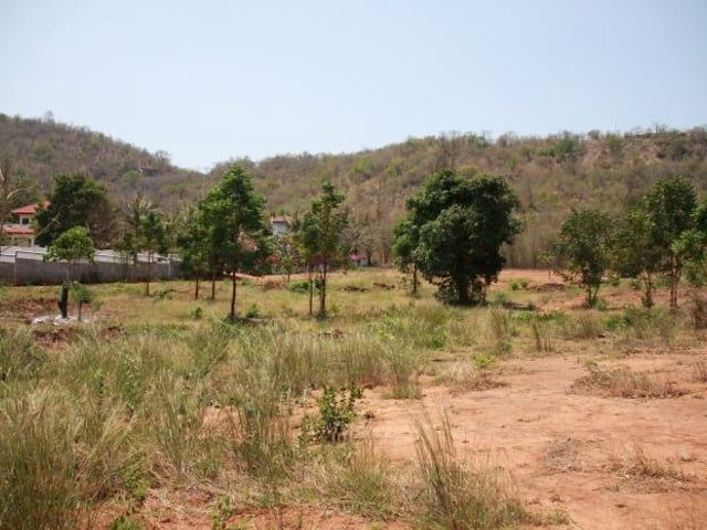 place photo 26