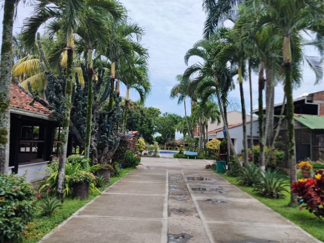 place photo 24