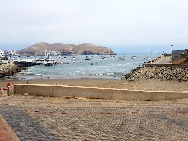 place photo 29