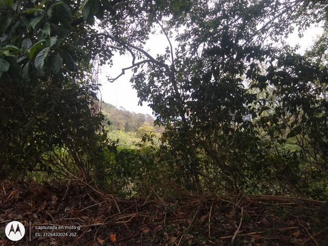 place photo 37