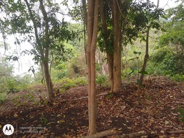 place photo 40