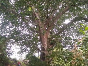 place photo 33