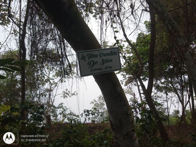 place photo 41