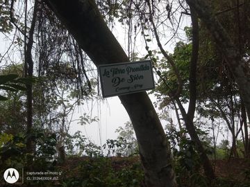 place photo 41