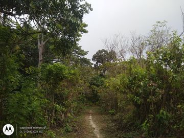 place photo 44