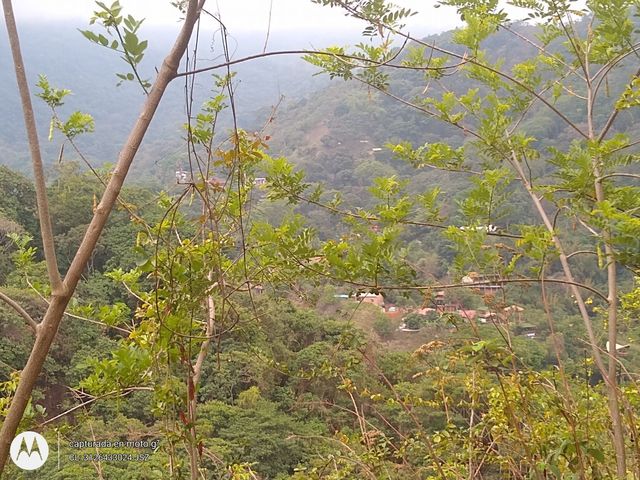 place photo 45