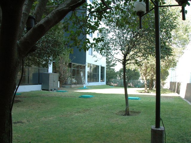 place photo 35