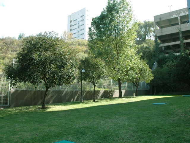 place photo 34