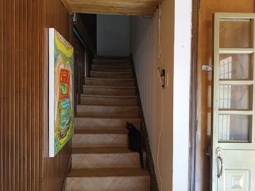 place photo 46