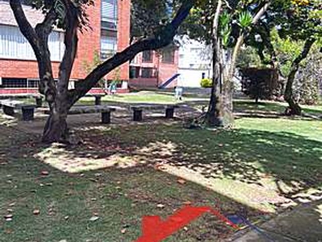 place photo 24