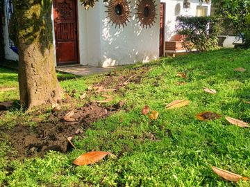 place photo 53