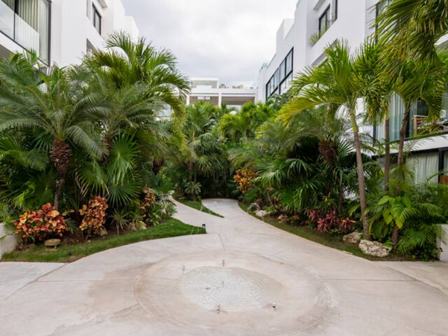 place photo 36