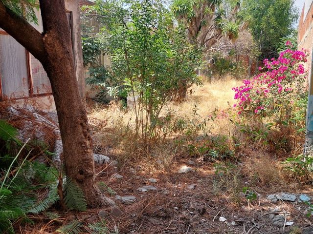 place photo 13