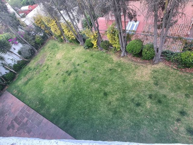 place photo 31