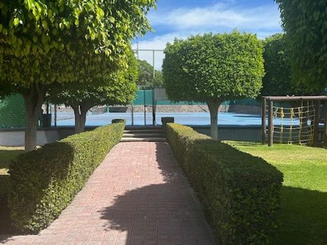 place photo 41