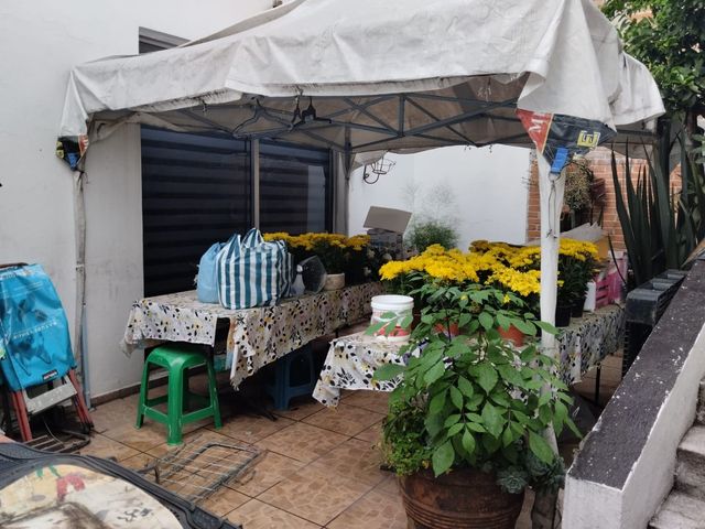 place photo 34