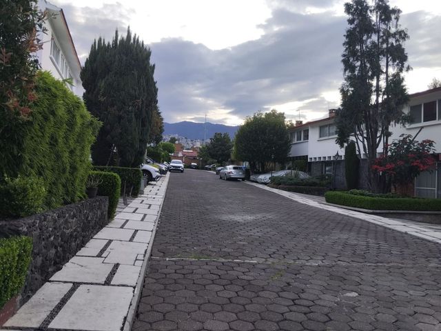 place photo 41