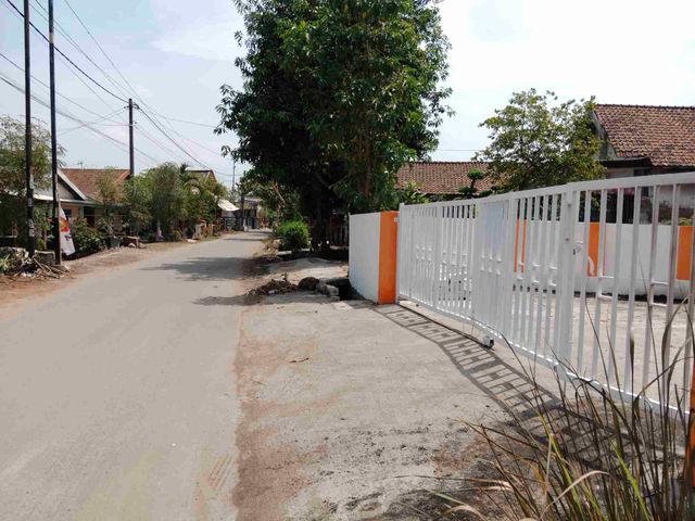 place photo 12