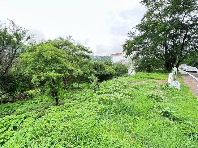 place photo 14
