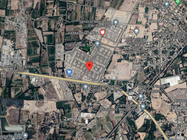 place photo 12