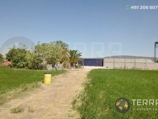 place photo 41