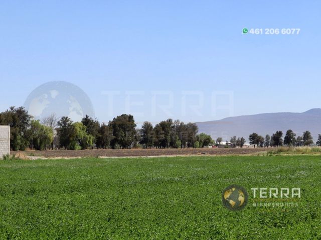 place photo 96