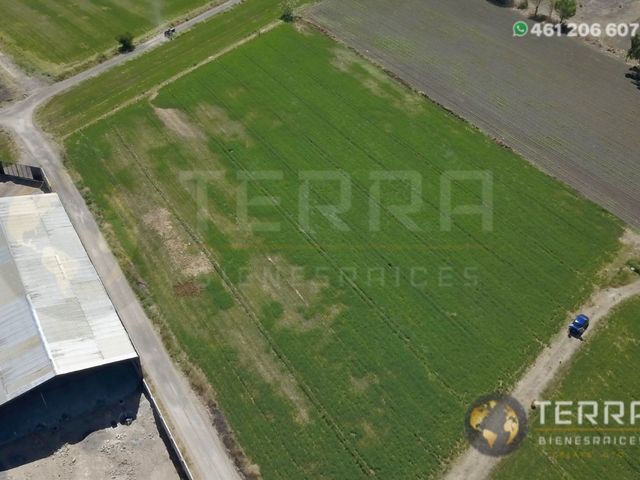 place photo 56