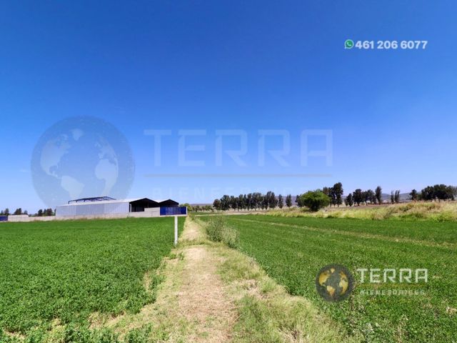 place photo 69