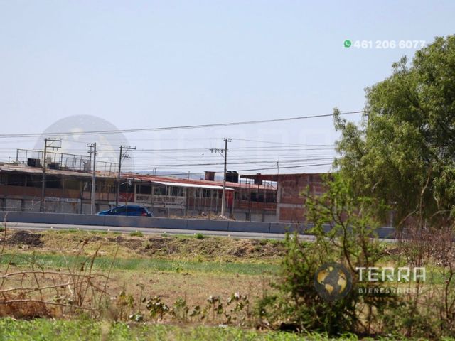place photo 126