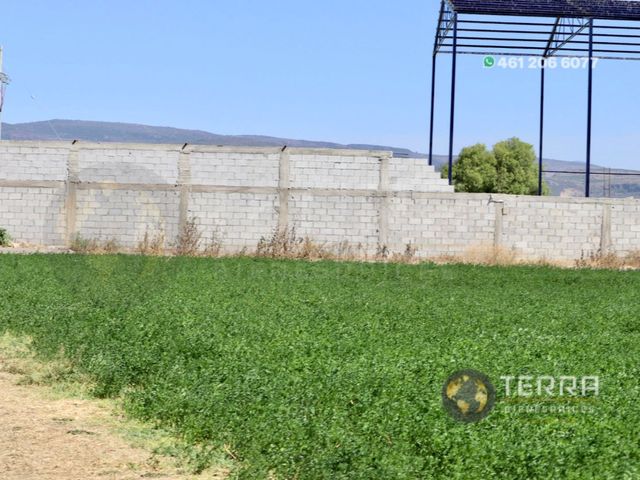 place photo 103