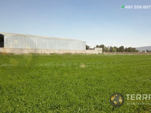 place photo 35