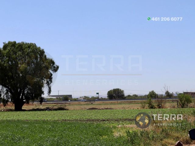 place photo 87