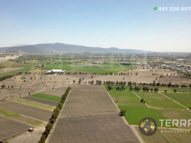 place photo 43