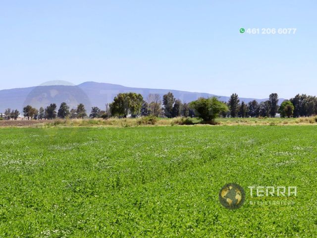 place photo 111
