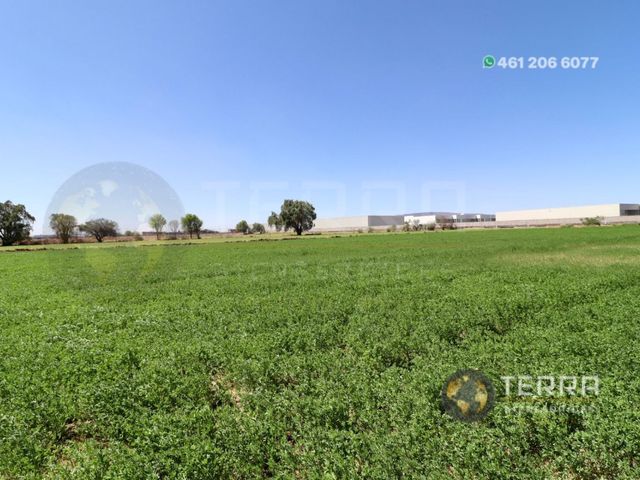 place photo 71