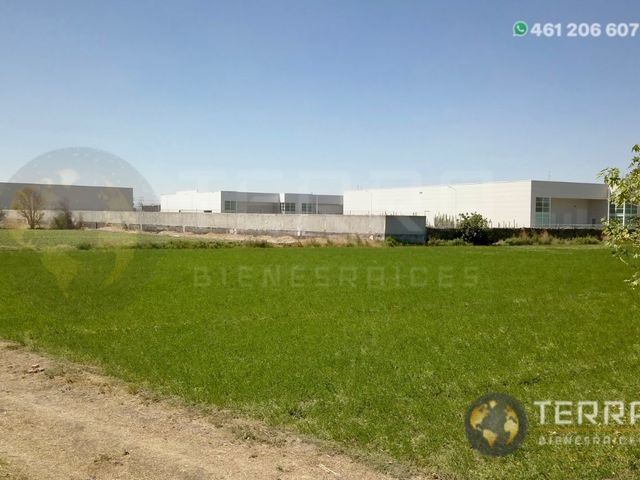 place photo 37