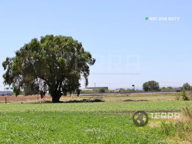 place photo 88