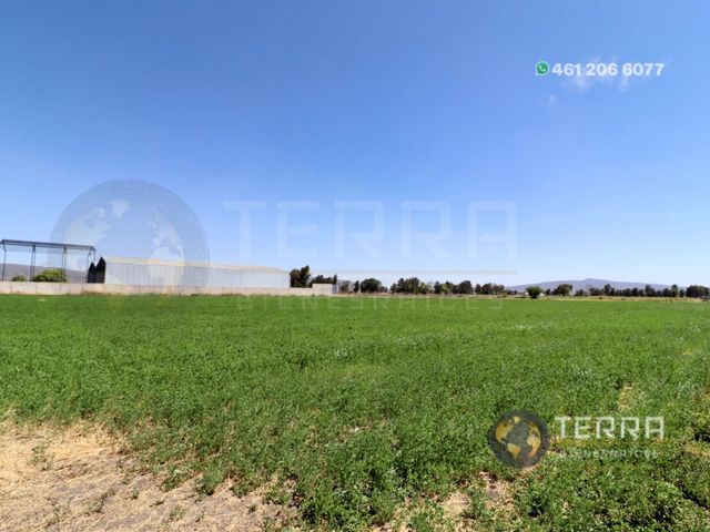 place photo 75