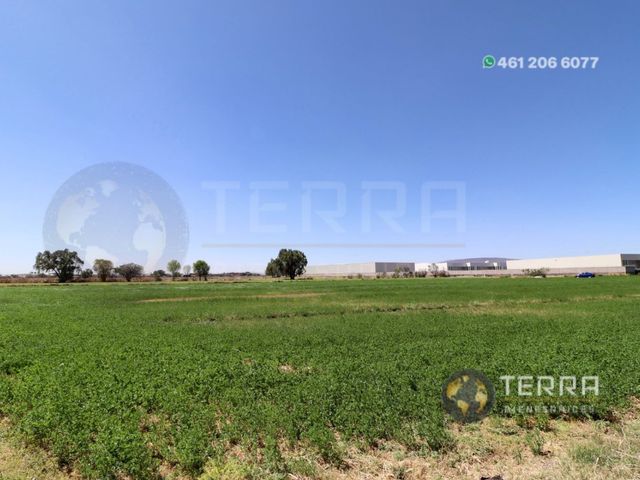 place photo 66