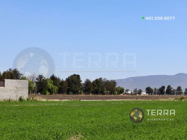 place photo 93