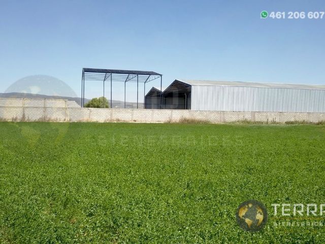place photo 61