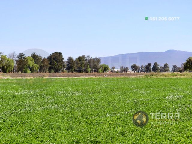 place photo 109