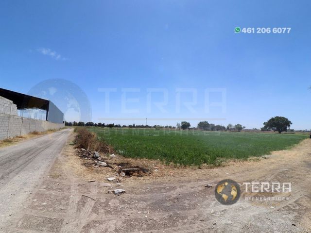 place photo 64